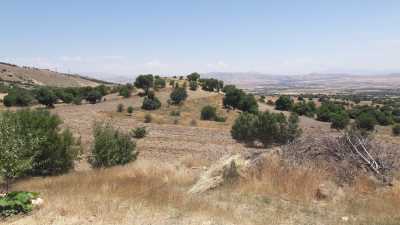 Kalkantepe Höyüğü